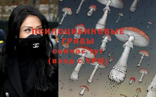 apvp Алексеевка